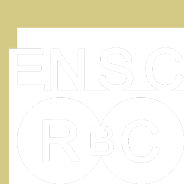 Higher National School for the Conservation and Restoration of Cultural Property logo