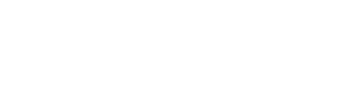National Aviation Academy logo
