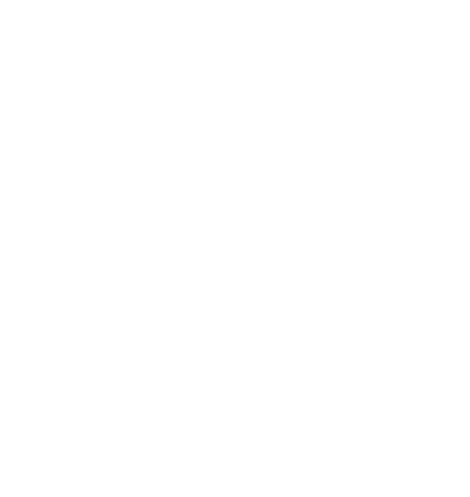 Belarusian State Technological University logo