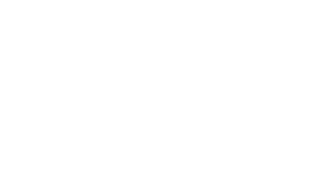 Belarusian State University of Informatics and Radioelectronics logo