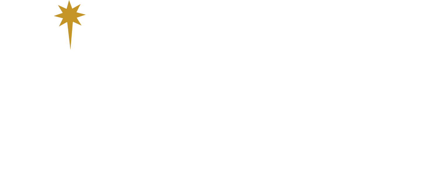 Vitez University logo