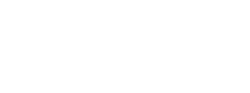 University of Los Lagos logo
