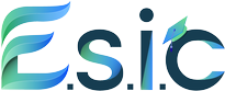 ESICOM Computer and Business School logo