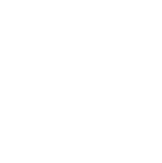 State University of the Amazon logo