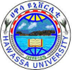 Hawassa University logo