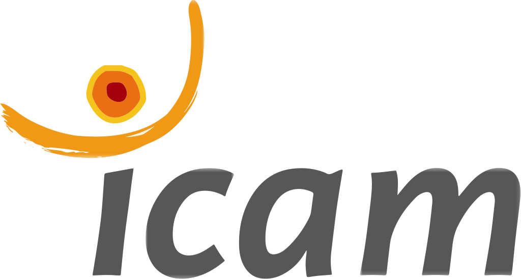ICAM logo
