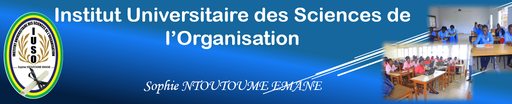 University Institute of Organization Sciences logo
