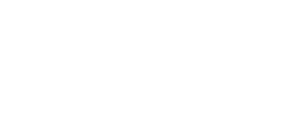 Accadis University of Applied Sciences Bad Homburg logo