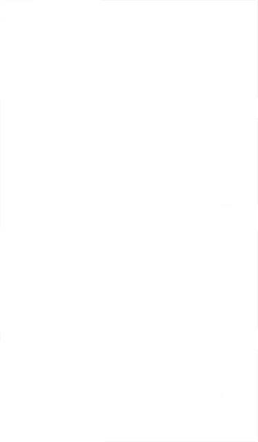 Cusanus University for Social Design logo