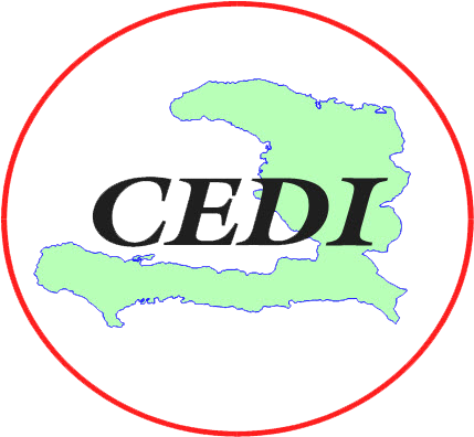 Diplomatic and International Studies Centre logo