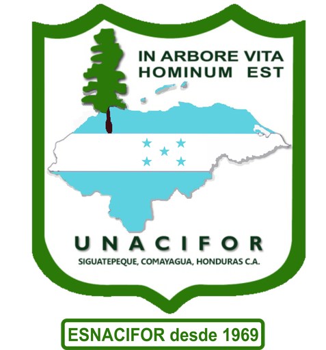 National University of Forestry logo