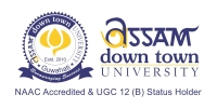 Assam Down Town University logo
